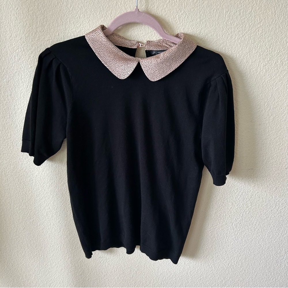 Adrianna Papell sweater blouse